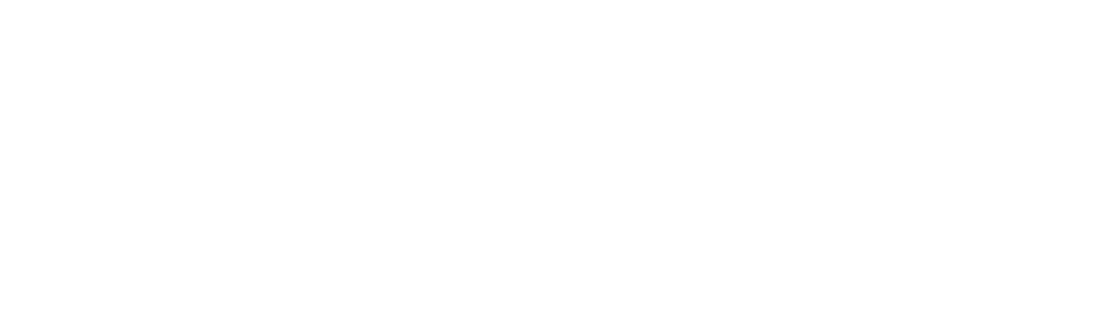 Main Logo